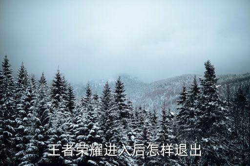 王者荣耀进入后怎样退出