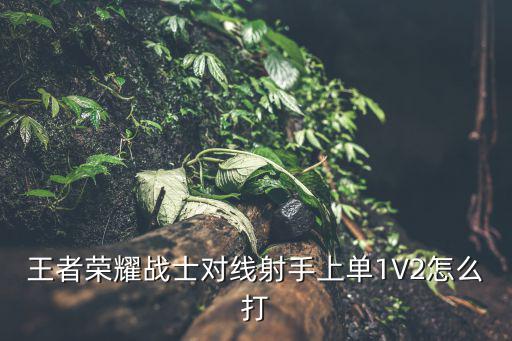 王者荣耀战士对线射手上单1V2怎么打