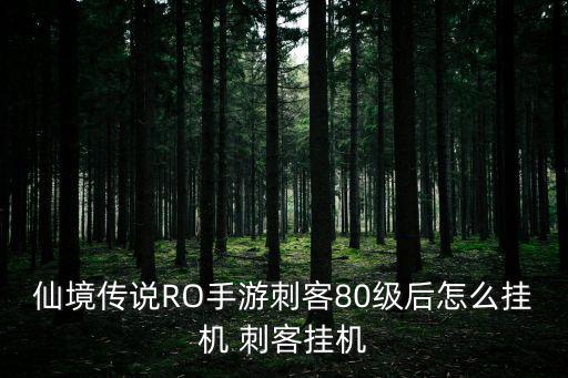 仙境传说RO手游刺客80级后怎么挂机 刺客挂机