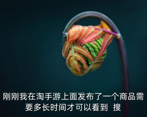 刚刚我在淘手游上面发布了一个商品需要多长时间才可以看到 搜