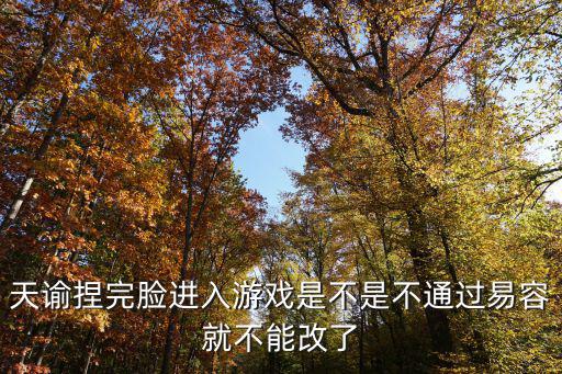 天谕手游无尽秘境加持该怎么选择，天谕捏完脸进入游戏是不是不通过易容就不能改了
