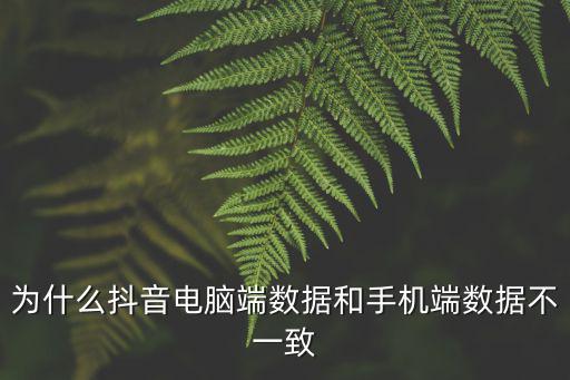 为什么抖音电脑端数据和手机端数据不一致