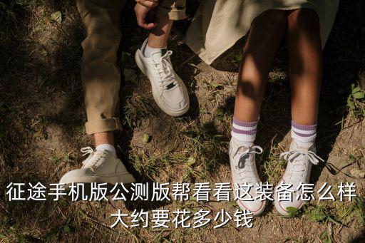 征途手机版公测版帮看看这装备怎么样大约要花多少钱