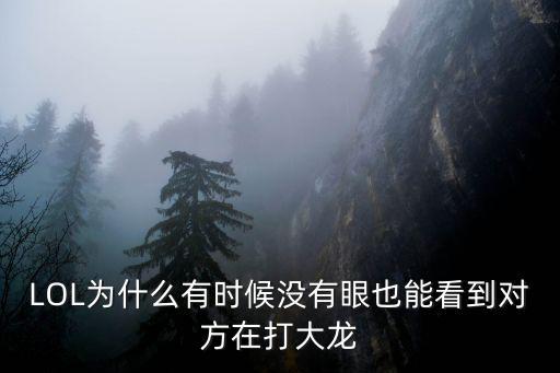 LOL为什么有时候没有眼也能看到对方在打大龙