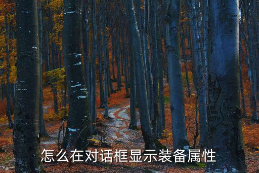 怎么在对话框显示装备属性