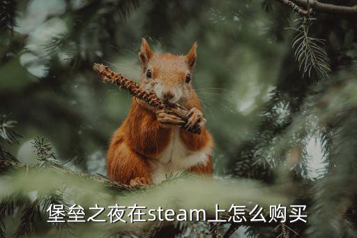 堡垒之夜在steam上怎么购买