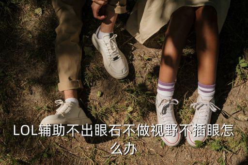 LOL辅助不出眼石不做视野不插眼怎么办