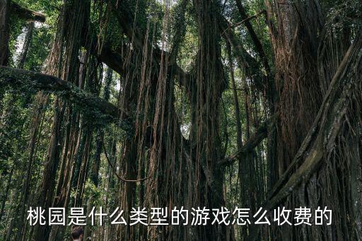 桃园是什么类型的游戏怎么收费的
