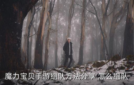 魔力宝贝手游组队方法分享 怎么组队