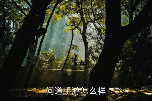 问道手游自动打书怎么样，问道手游怎么样