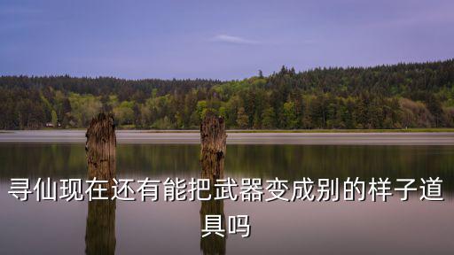 寻仙现在还有能把武器变成别的样子道具吗