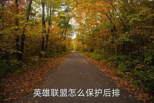 英雄联盟怎么保护后排