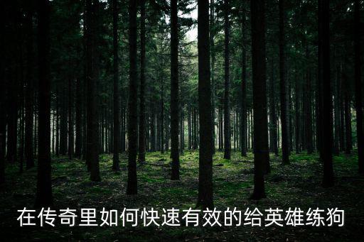 在传奇里如何快速有效的给英雄练狗