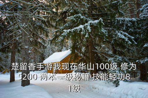 楚留香手游我现在华山100级 修为5200 两本一级秘籍 技能轻功81级