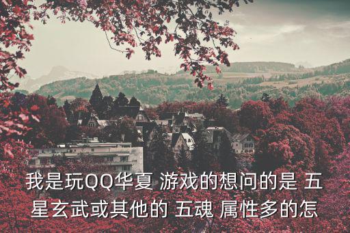 我是玩QQ华夏 游戏的想问的是 五星玄武或其他的 五魂 属性多的怎