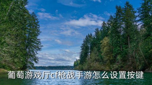 葡萄游戏厅cf枪战手游怎么设置按键