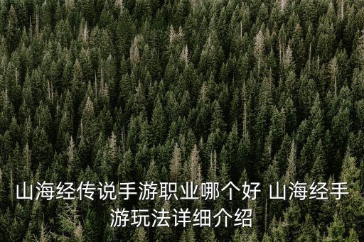 山海经传说手游职业哪个好 山海经手游玩法详细介绍