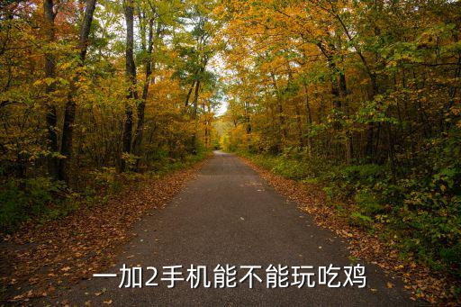 一加手机怎么样玩吃鸡端游，一加2手机能不能玩吃鸡
