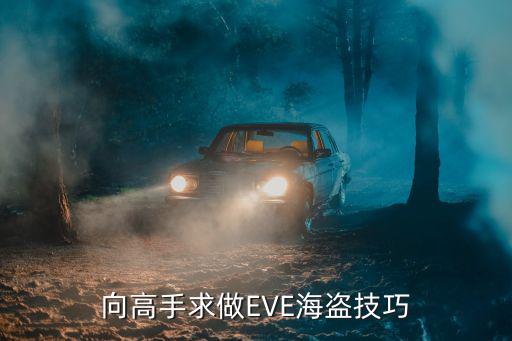 向高手求做EVE海盗技巧