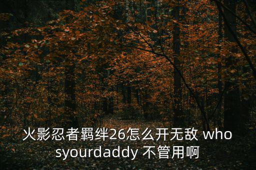 火影忍者羁绊26怎么开无敌 whosyourdaddy 不管用啊