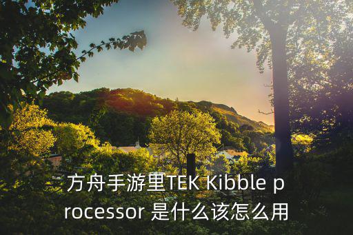 方舟手游的资源怎么用不了，急急急求解方舟生存进化控制台突然用不了了