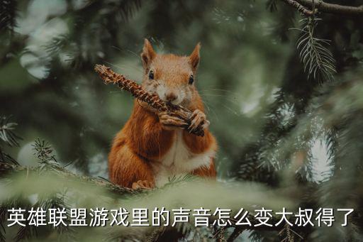 英雄联盟游戏里的声音怎么变大叔得了