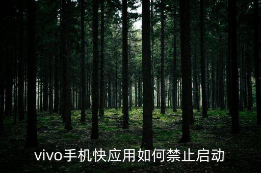 vivo手游加速怎么关，vivo手机快应用如何禁止启动