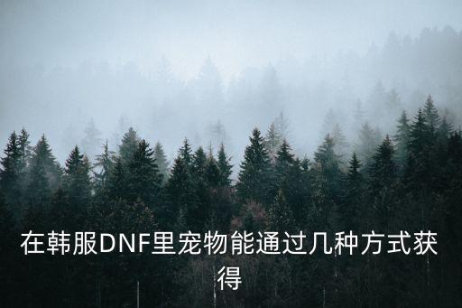 在韩服DNF里宠物能通过几种方式获得