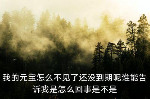 新笑傲江湖手游元宝怎么消失了，我的元宝为什么消失了