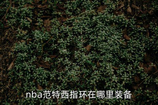 nba范特西指环在哪里装备