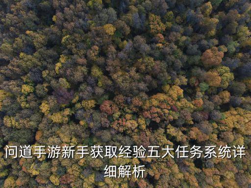 问道手游新手获取经验五大任务系统详细解析