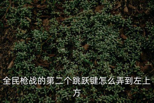 全民枪战的第二个跳跃键怎么弄到左上方
