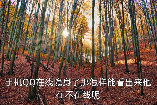 手机QQ在线隐身了那怎样能看出来他在不在线呢