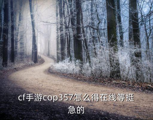 cf手游cop357怎么得在线等挺急的