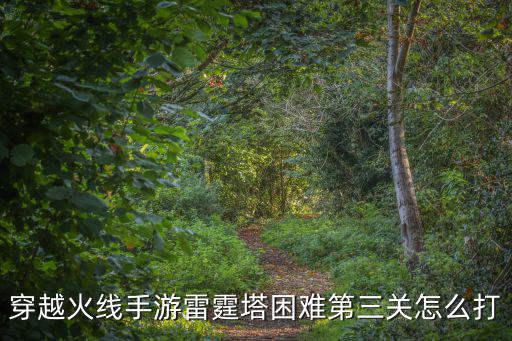 穿越火线手游雷霆塔困难第三关怎么打