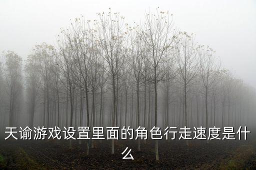 天谕游戏设置里面的角色行走速度是什么