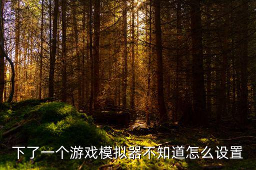 下了一个游戏模拟器不知道怎么设置
