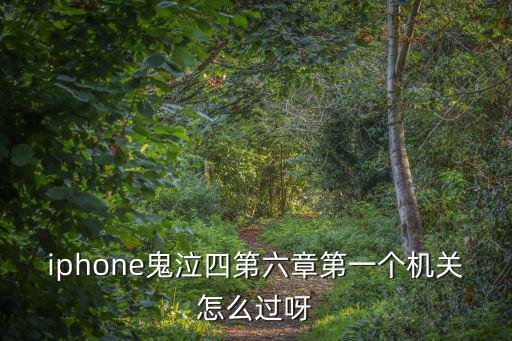 iphone鬼泣四第六章第一个机关怎么过呀
