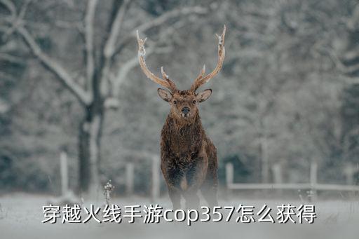 cf手游黑铁cop357怎么得，穿越火线手游cop357怎么弄的