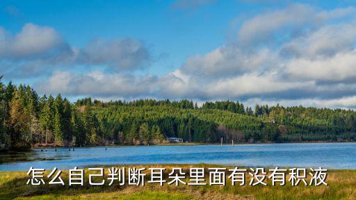 在2k 22手游里怎么捏郭艾伦，怎么自己判断耳朵里面有没有积液