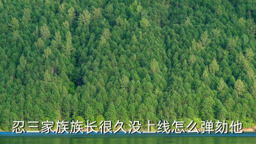 奥奇传说手游家族怎么弹劾族长，请问怎么踢族长
