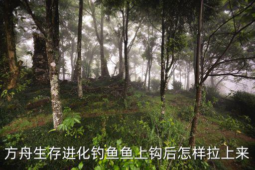方舟手游地图中的鱼怎么抓，方舟生存进化钓鱼鱼上钩后怎样拉上来