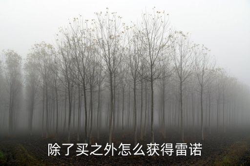 除了买之外怎么获得雷诺