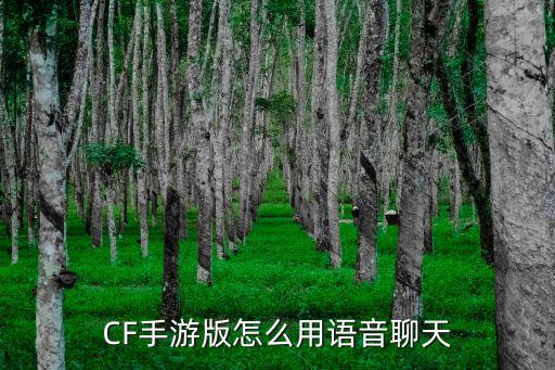 cf手游语音卡怎么在游戏里用，CF手游上怎么用语音聊天