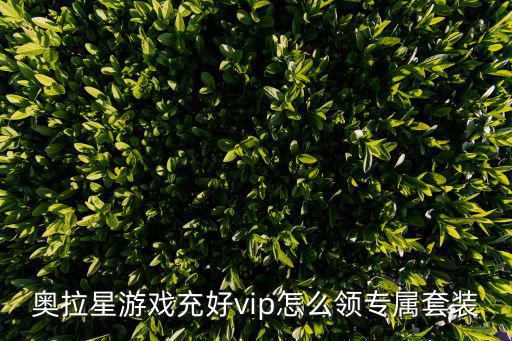 奥拉星游戏充好vip怎么领专属套装