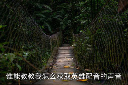 谁能教教我怎么获取英雄配音的声音
