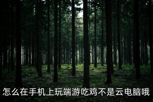怎么在手机上玩端游吃鸡不是云电脑哦