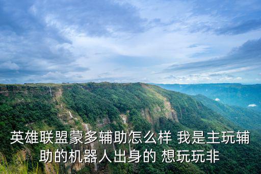 英雄联盟蒙多辅助怎么样 我是主玩辅助的机器人出身的 想玩玩非