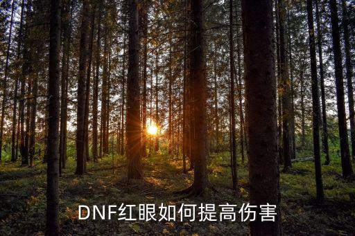 dnf手游红眼怎么加伤害，dnf红眼怎么提升伤害