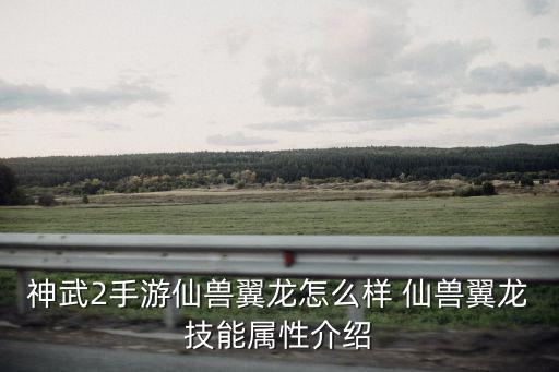 神武手游仙兽翼龙怎么升5技能，神武2手游3技能宠物能变成5技能吗